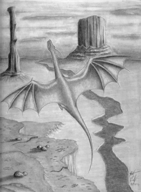 Black And White Drawings Of Dragons. Pencil Dragons